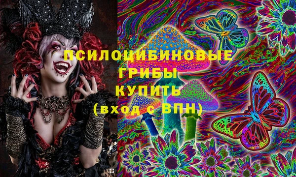 круглые Алексеевка