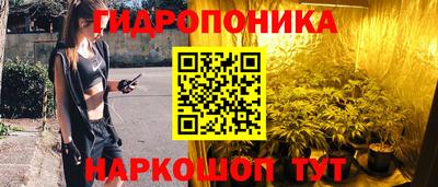 мдма Кингисепп