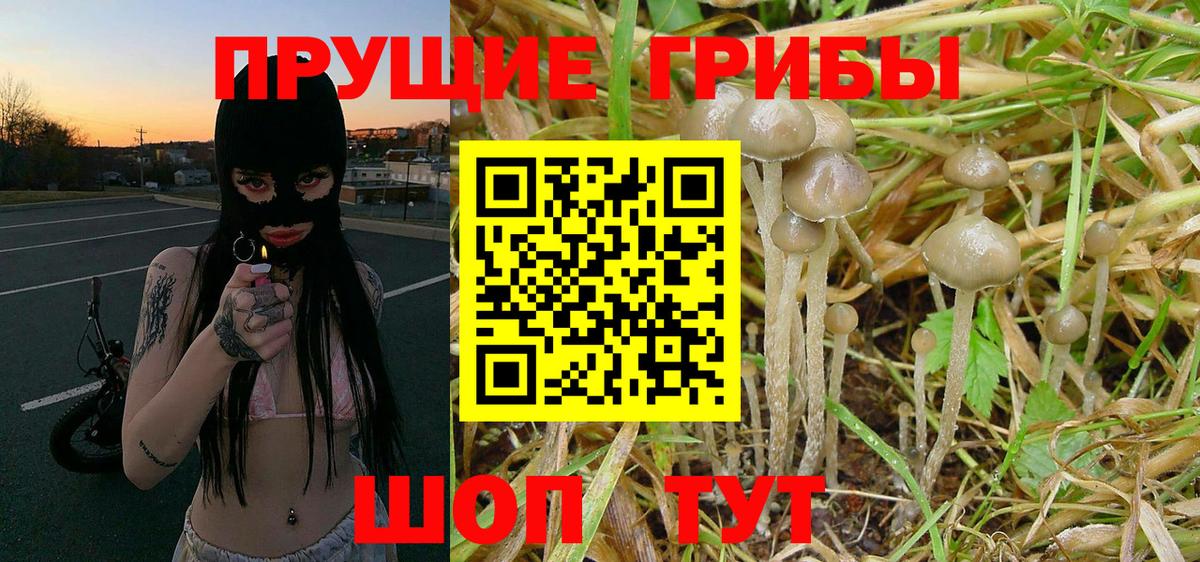 Галлюциногенные грибы ЛСД  Галлюциногенные грибы Cubensis  Вход с VPN  Краснознаменск 