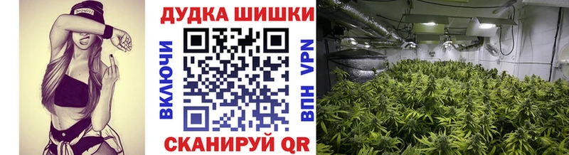 наркошоп  Краснознаменск  Канабис ГИДРОПОН 